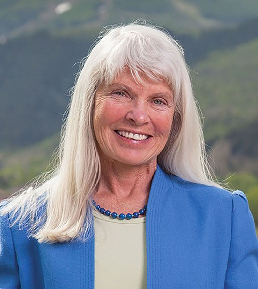 diane mitsch bush mug.jpg